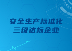 祝賀我司通過深圳市“安全生產標準化三級達標企業”評定